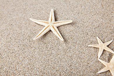 时间策略类Roguelike游戏《零秒》Steam页面上线 支持简中